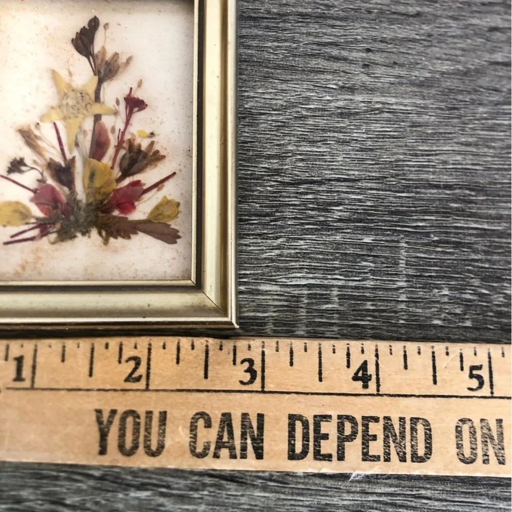 Vtg Pressed Floral Art in Gold Frame - Picture 11 of 12